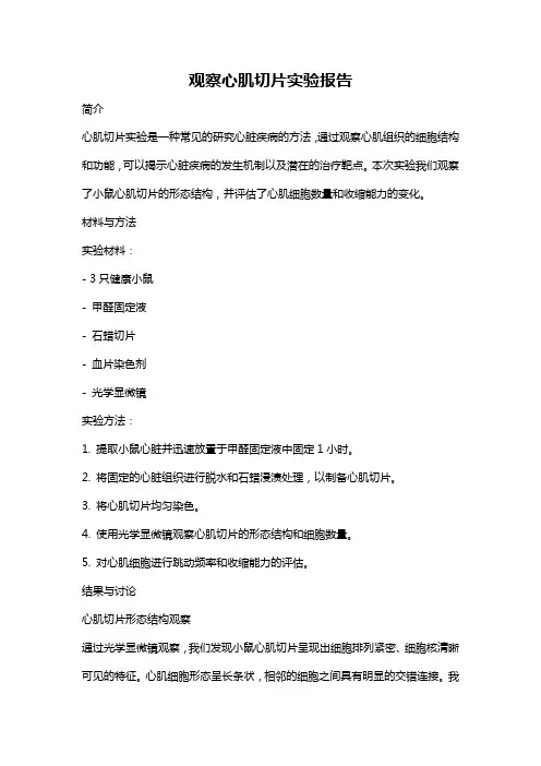 观察心肌切片实验报告