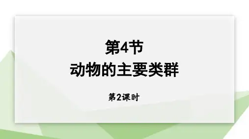 22.4 动物的主要类群 第2课时 课件 初中生物北师版八年级下册
