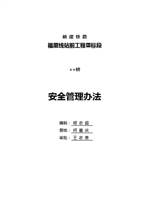 安全管理办法(正式)