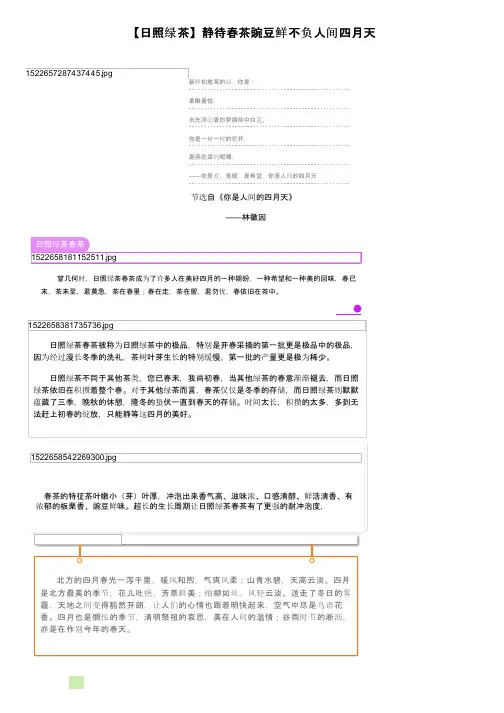 【日照绿茶】静待春茶豌豆鲜不负人间四月天
