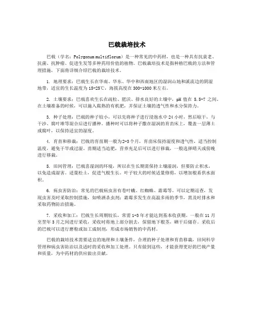 巴戟栽培技术