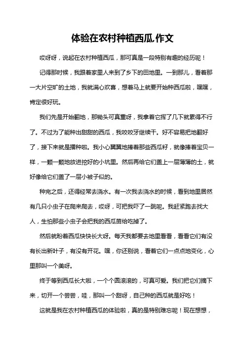 体验在农村种植西瓜,作文