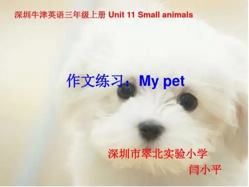 深圳优质课件    深圳牛津版英语三上册 U11 My pet