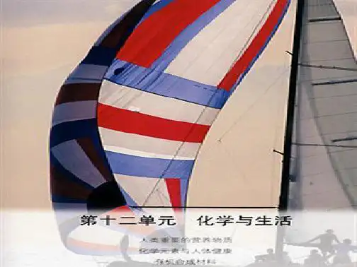 九年级化学下册 第12单元 课题2 化学元素与人体健康课件3 