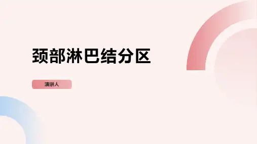 颈部淋巴结分区 (2)