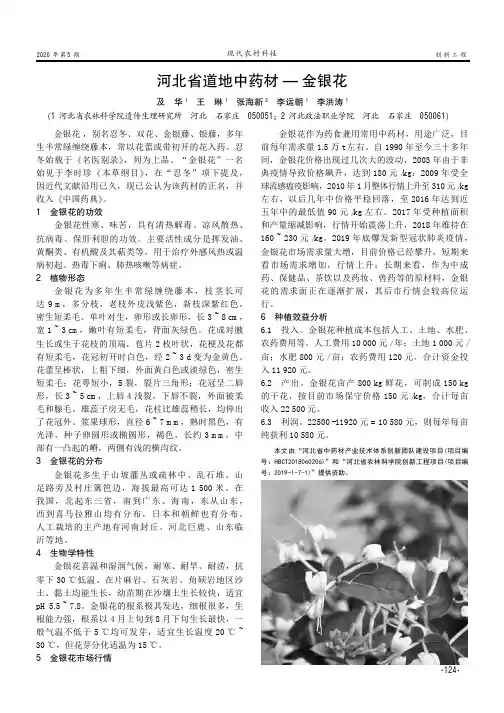 河北省道地中药材——金银花