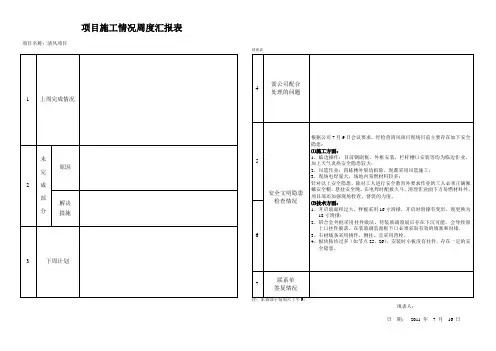 项目经理周会汇报表