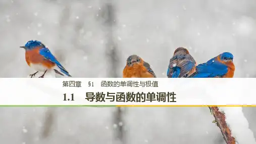 北师大版数学高二选修1-1课件 第四章 1.1 导数与函数的单调性