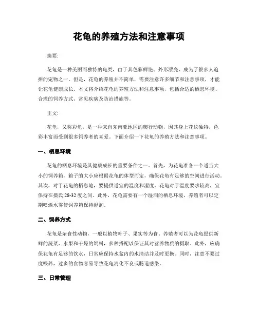 花龟的养殖方法和注意事项