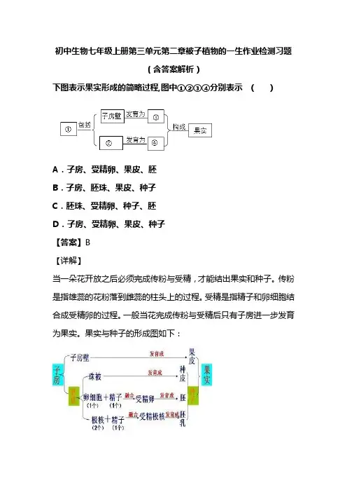 初中生物七年级上册第三单元第二章被子植物的一生作业检测习题(含答案解析)(132)