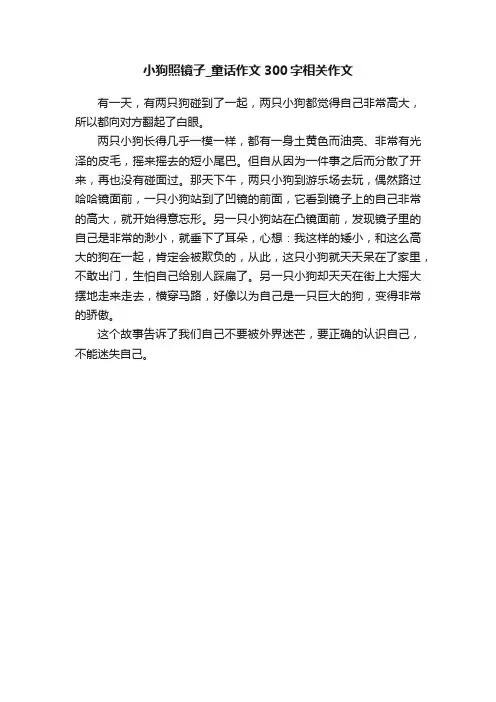 小狗照镜子_童话作文300字相关作文