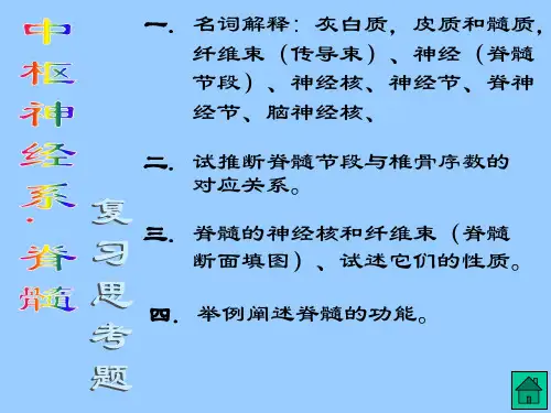 神经内科复习思考题