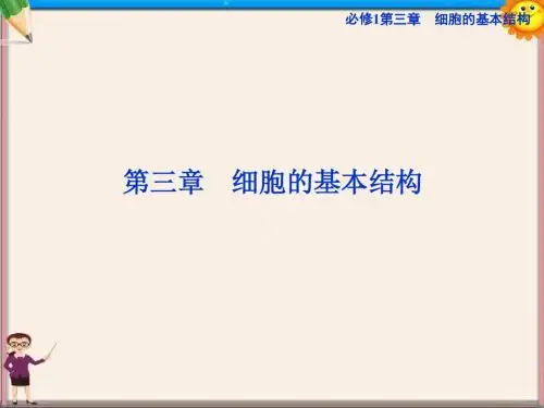 高考生物一轮复习 第三章第1、3节 细胞膜 系统的边界课件 新人教版必修1