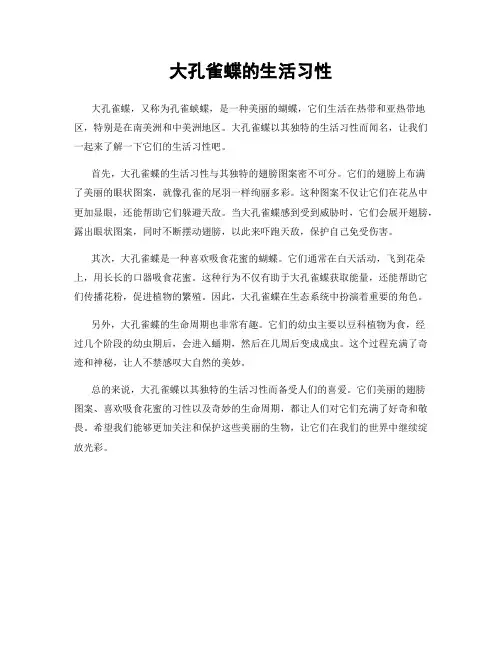 大孔雀蝶的生活习性