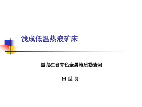 浅成低温热液矿床(田世良)