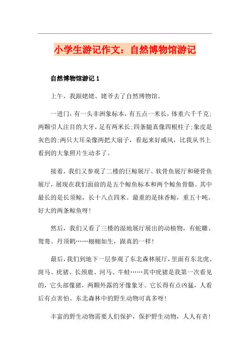 小学生游记作文：自然博物馆游记
