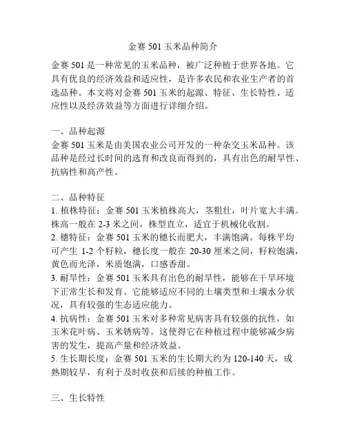 金赛501玉米品种简介
