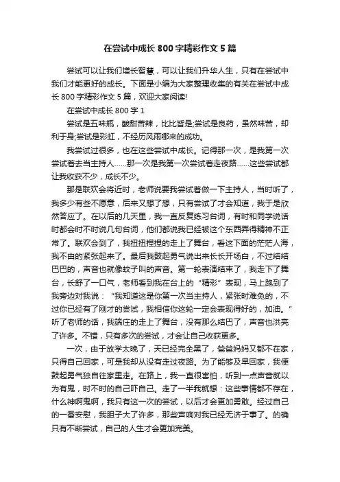 在尝试中成长800字精彩作文5篇