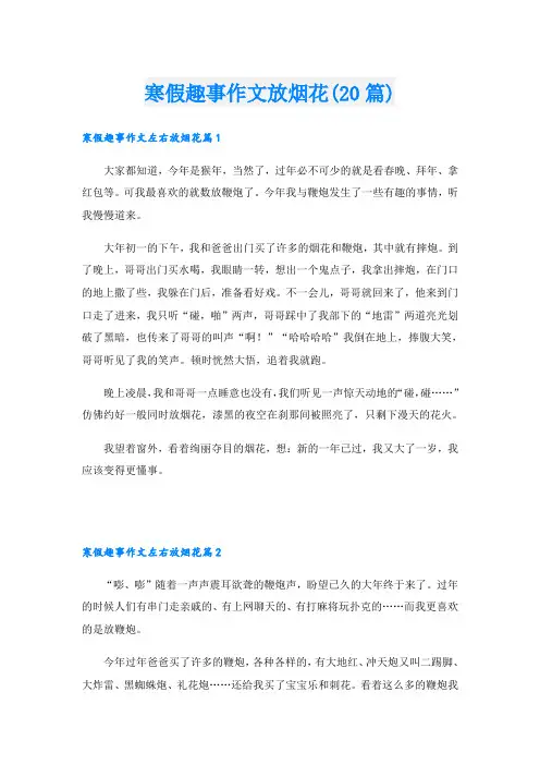 寒假趣事作文放烟花(20篇)