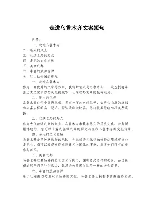 走进乌鲁木齐文案短句