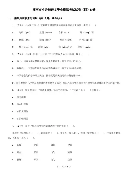 漯河市小升初语文毕业模拟考试试卷(四)B卷