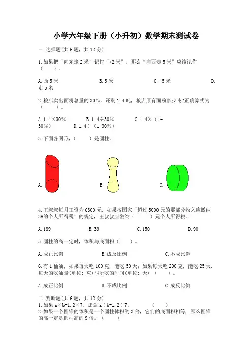 小学六年级下册(小升初)数学期末测试卷附参考答案【综合卷】