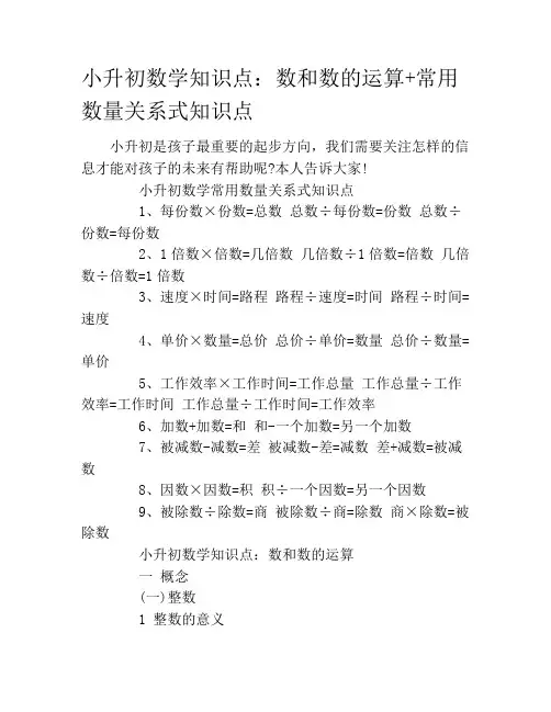 小升初数学知识点：数和数的运算+常用数量关系式知识点