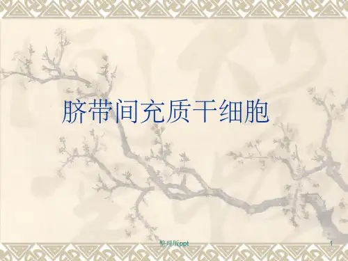 脐带间充质干细胞PPT