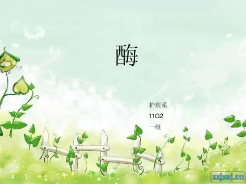 酶