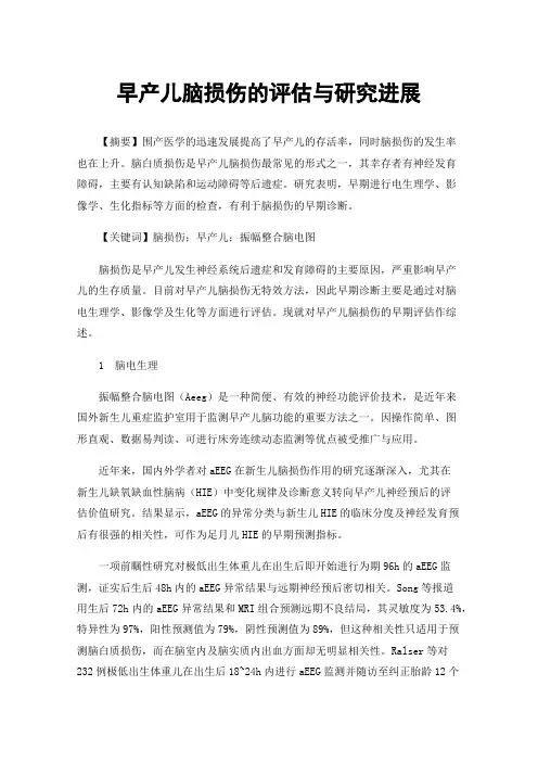 早产儿脑损伤的评估与研究进展