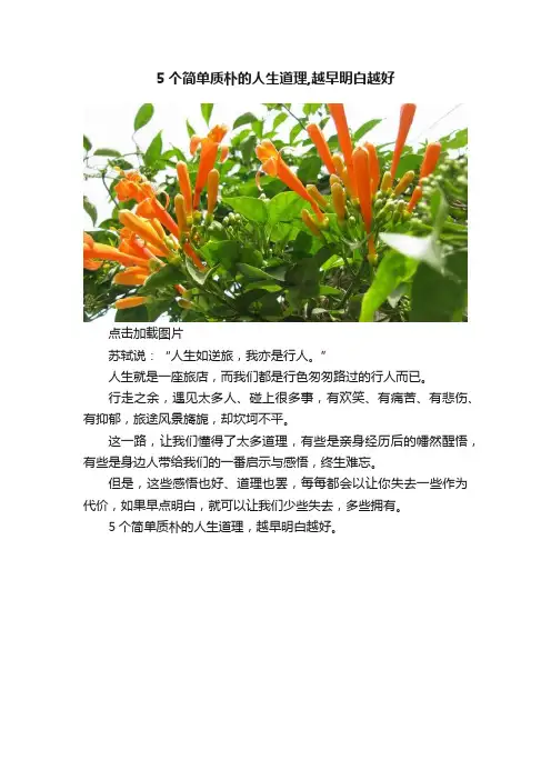 5个简单质朴的人生道理,越早明白越好