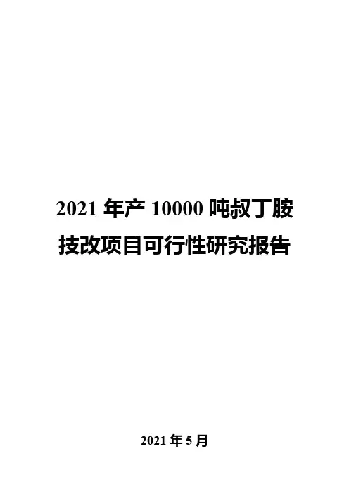 2021年产10000吨叔丁胺技改项目可行性研究报告