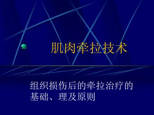 肌肉牵拉技术