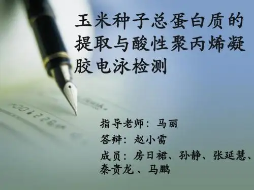 玉米种子总蛋白质的提取与酸性聚丙烯凝胶电泳检测