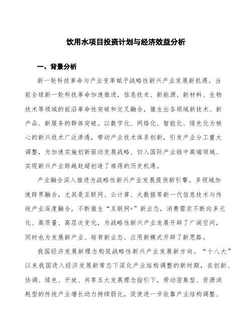 饮用水项目投资计划与经济效益分析
