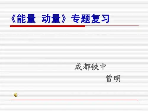 动量专题复习