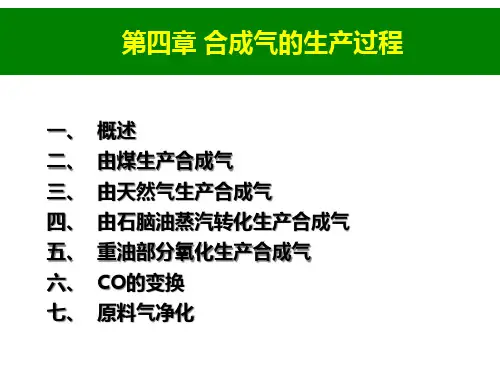 第四章合成气的生产过程