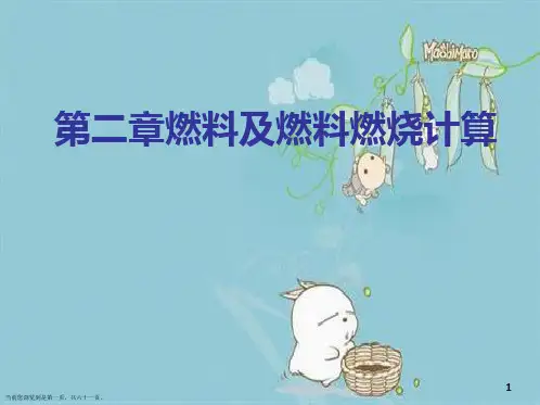 第二章燃料及燃料燃烧计算