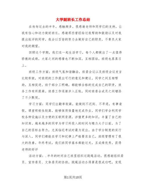 大学副班长工作总结(4篇)