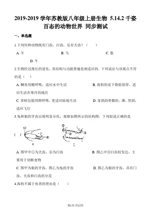 苏教版八年级上册生物 5.14.2千姿百态的动物世界 同步测试(解析版)