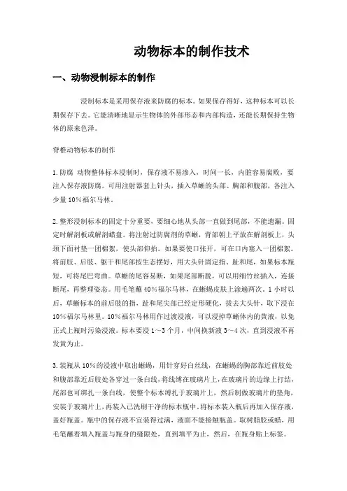 动物标本的制作技术