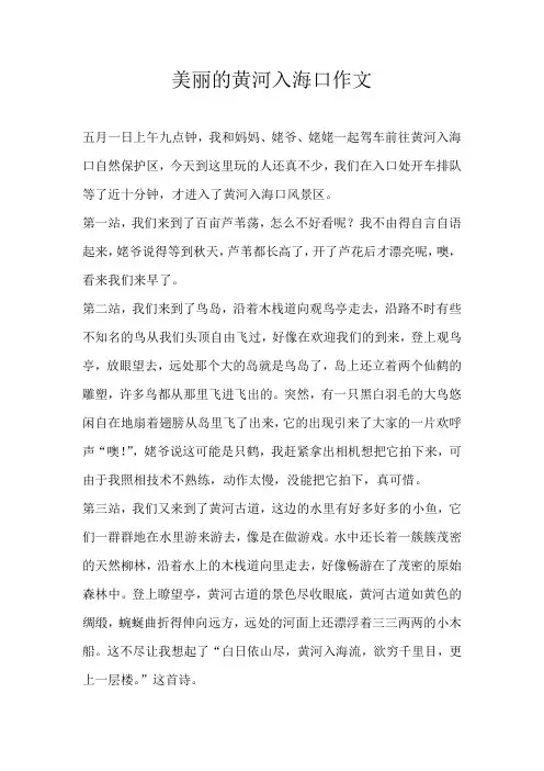 初一写景美丽的黄河入海口作文