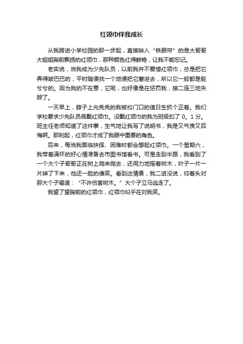 红领巾伴我成长