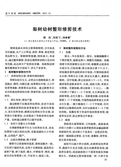 梨树幼树整形修剪技术