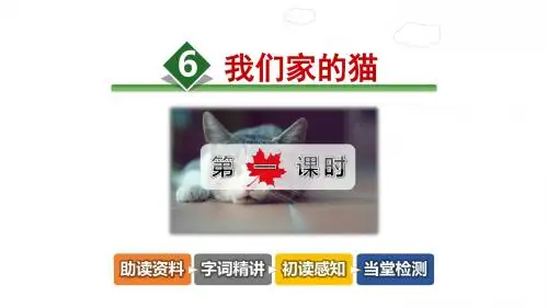 我们家的猫PPT