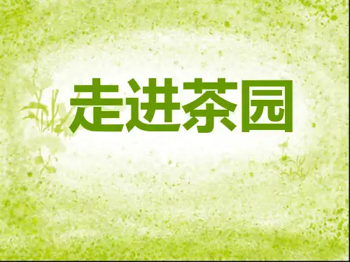 话说温州四年级上册第三单元1、走进茶园