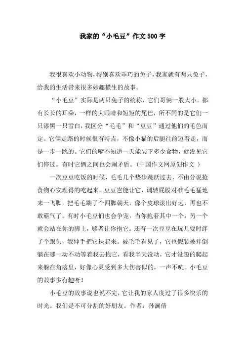 我家的“小毛豆”作文500字