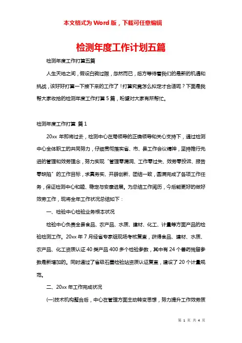 检测年度工作计划五篇