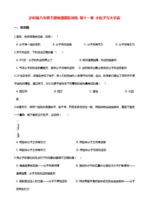 沪科版物理八年级下册跟踪训练：第十一章 小粒子与大宇宙(附解析答案)