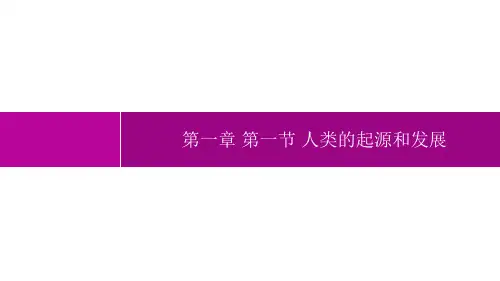 人教版七年级下册第一章人的由来总复习课件(共28张PPT)